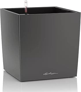 Lechuza Cube 40 Komplettset anthrazit metallic - Jetzt günstig kaufen