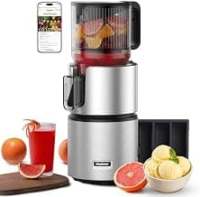Anybear 350W Kaltpress-Entsafter für Saft, Sorbet & Nussmilch, Silber - Stark reduziert