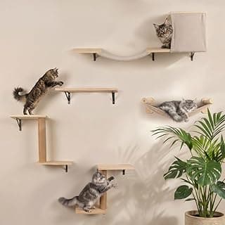 WOOWOOD Kletterwand Katzen - 12 teilig - Beste Stabilität - Kratzbaum Katze aus Naturholz, Katzen Hängematte, Katze Wandelemente, Kratzbaum Klein, Katzenwand, Katzentreppe Wand, Katzenmöbel - Günstig online kaufen