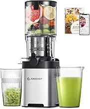 AMZCHEF Entsafter Slow Juicer 136 mm – Saftpresse Elektrisch für Gemüse & Obst – Cold Press Juicer mit 2 Filtern – Leise & Leicht zu Reinigen - Silber - Super Angebot