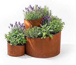 Relaxdays Kräuterspirale, HxBxT: 43 x 61 x 41 cm, 3 Segmente, Rost, Stahl, Kräuterpyramide Garten, Kräuterbeet, braun - Günstig online kaufen