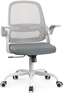 LukkDys Bürostuhl Ergonomisch, Schreibtischstuhl mit klappbaren Armlehnen, Mesh Computerstuhl höhenverstellbar, Drehstuhl für Home Office, Kinder & Studenten, Büro Sessel, Grau - Amazon Angebot