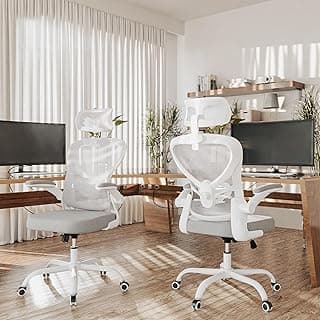 ALAULM Ergonomischer Bürostuhl mit Verstellbarer Lendenwirbelstütze und um 90° hochklappbaren Armlehnen, Computerstuhl mit hoher Rückenlehne aus Netzgewebe für Zuhause und Büro, hellgrau - Details ansehen